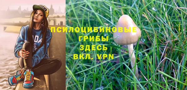 дмт Абдулино