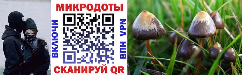 Псилоцибиновые грибы ЛСД  закладки  Пудож 